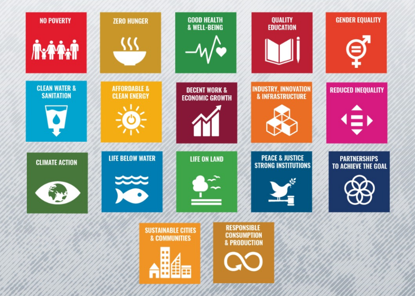 17 sustainable development goals (SDGs) a commitment of 31 core values