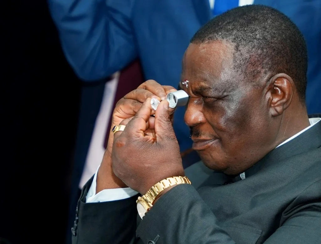 Vice President of Zimbabwe holding diamond