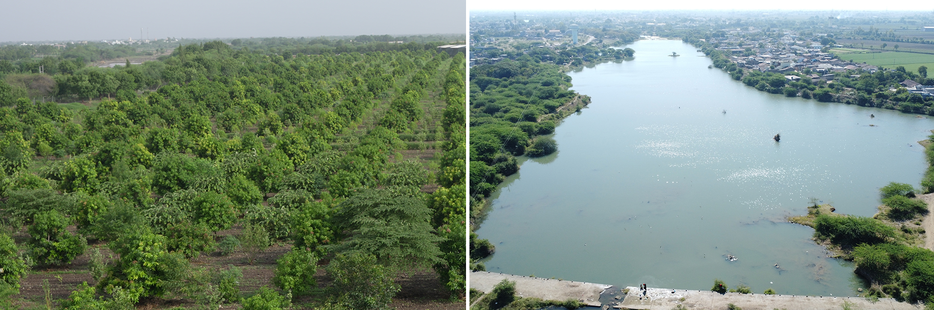 Environmental Efforts